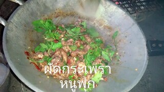 #ผัดกระเพราหนูพุ่ก พริกแห้ง 50 เม็ด !!