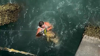 钓鱼佬的人生巅峰