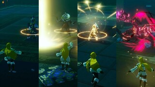 Princess Zelda VS Hyrule Greatest Warriors - Hyrule Warriors: Age of Calamity