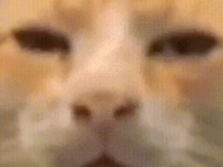 หรือว่าชาวเน็ตหัวไวกันน่ะ