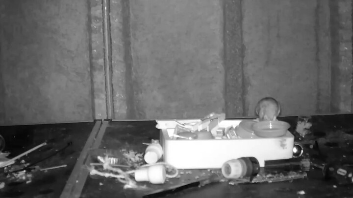 Aku bilang aja, Ratatouille itu semua nyata kok