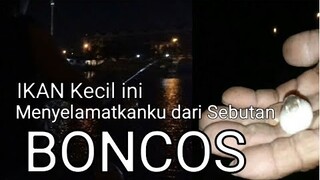 Ikan Kecil ini Menyelamatkanku Dari Sebutan BONCOS