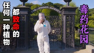 Taman ini beracun: Seperti apa bentuk "Taman Racun" yang menanam 95 jenis tanaman beracun?