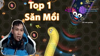 Con Rắn To Nhất NMT Quyết Tâm Top 1 Rắn Săn Mồi | NMT Gaming