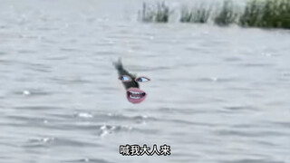 我老祖公来拿你拖河都