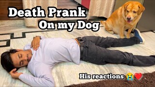 Death prank on my dog😂 | Anant rastogi