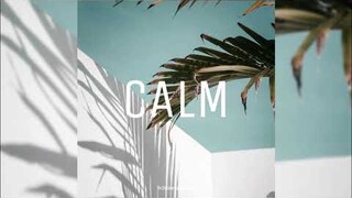 (FREE USE) Pop Type Beat - "Calm"