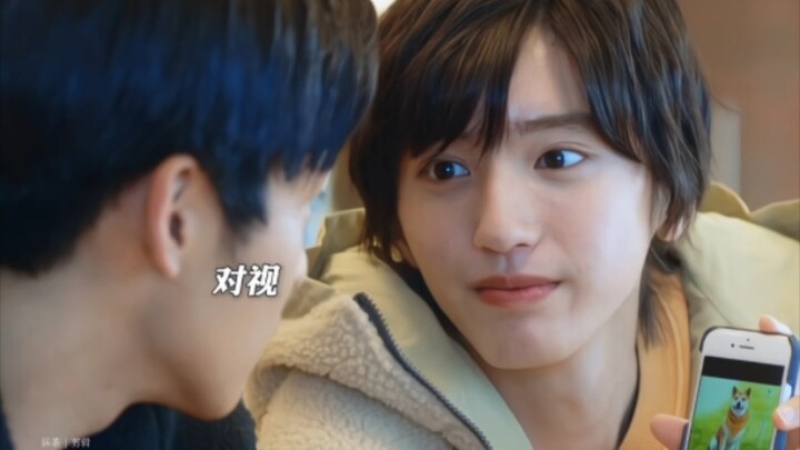 اثنان جميلان لدرجة أن زوايا شفاهنا ارتفعت تلقائيًا! سلسلة من سوء التفاهم الجميلة الناجمة عن قطعة ممح