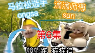 【地球发癫23.5度】用猫meme的方式打开第6集