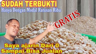 BISNIS MODAL KECIL!! DI AJARKAN DARI 0 SAMPAI BISA JUALAN OLEH PENGUSAHANYA LANGSUNG | USAHA RUMAHAN