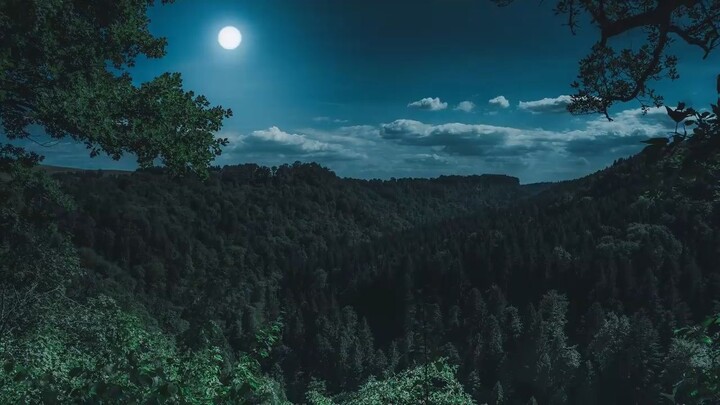 Night Meditation for deep rest and calmness _ रात्रि ध्यान _ Peeyush Prabhat