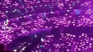 lingorm first fan service.