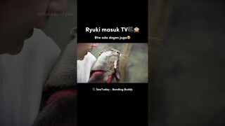 RYUKI MASUK TV‼️😍 #shorts #anjinglucu