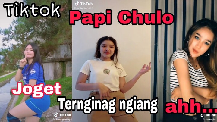 Begini jadinya kalo ngikutin Goyangan Chika | papi chulo versi koplo tiktok