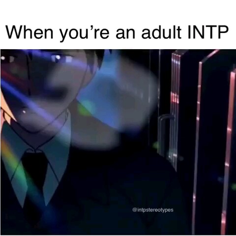 A Well-Adjusted Adult INTP