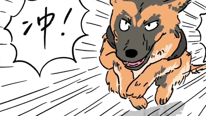 Other police dogs vs. Corgi police dogs