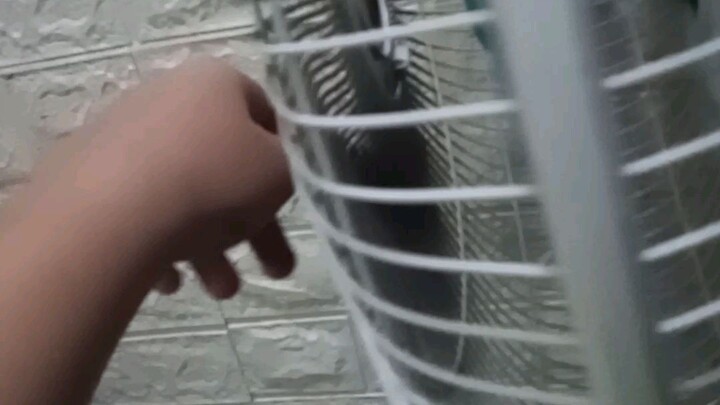 treat me like white tees