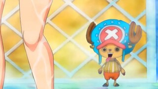 SCENE CHOPPER MANDI SAMA ROBIN