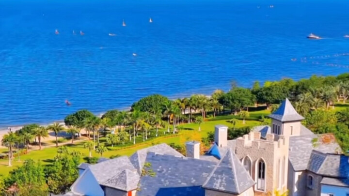 Turns out cicadas have accents too!