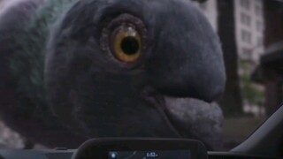 Pym Particles—The God That Minimizes Battle Fallout