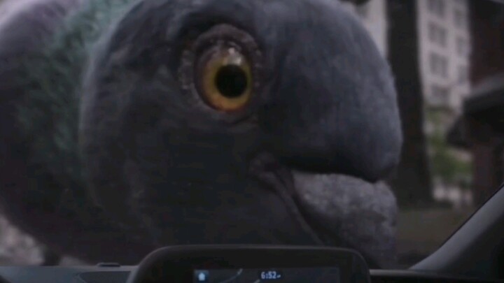 皮姆粒子——让战斗波及变最小的神