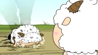 Intimate little assistant??? Slow Sheep: Get lost!!!