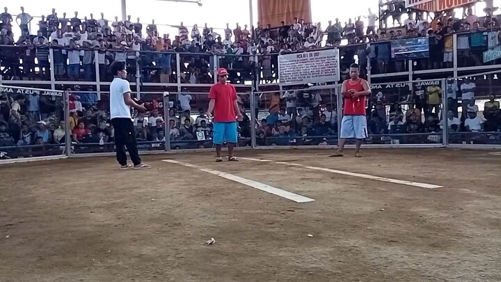 win👌QCA