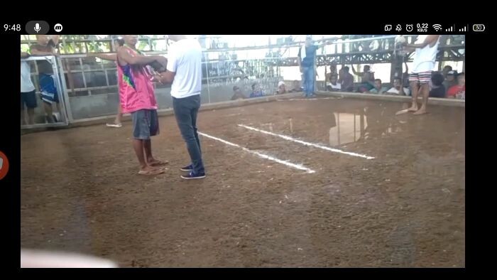 Kearney white hackle ( sibagat butuan )