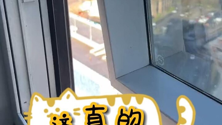 Tôi đã tìm được nhân vật chính của Belfast, thật sự quá ngầu!