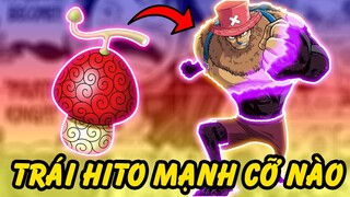 Sức Mạnh Và Sự Thật Về Trái Hito Hito Của Chopper trong One Piece