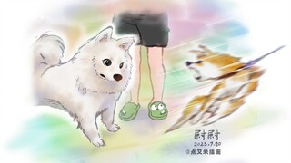 对方柴犬紧急撤回了一口鼻子