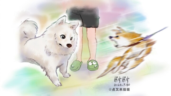 对方柴犬紧急撤回了一口鼻子
