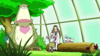 HeartCatch precure episode 39