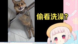 日本萝莉看《谁家好猫每天偷看人洗澡》绷不住狂笑