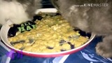 ASMR Kitten first solid food #mukbang