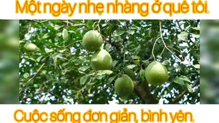 Đời sống giản đơn quê tôi
