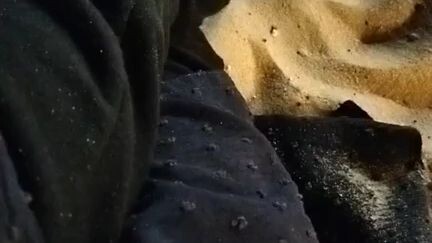 Malditarhai Desert With My Friends