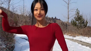 新年来桑巴
