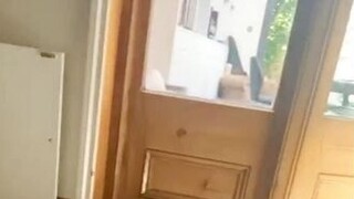 دخلت حمامة إلى منزل "هولاند بوي"، فقام برفق بإيصالها إلى الباب.
