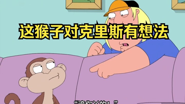 克里斯的柜子里藏了个猴子，九年了才发现