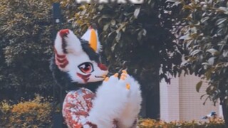 [Fursuit Dance] Fursuit Dance Pure desire little dragon comes to dance for everyone to see ~ Main fi