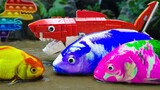 Ikan Koi Biru, Warna warni Stop Motion Memasak ASMR Cupang Penyu Lego Hiu Taman Bermain Menyenangkan