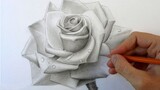 [Vẽ chì] Họa sĩ người Nga vẽ hoa hồng 3D siêu đẹp