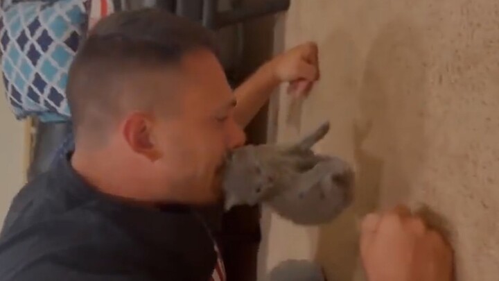 “นี่แหละอาจเป็นเหตุผลที่ผู้ชายชอบเลี้ยงแมว”