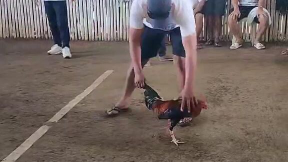 Sweater Boston, @Puerto princesa Palawan