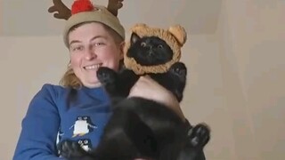 Thích là miễn phí, chúc mừng năm mới nhé!!!