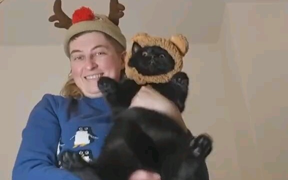 الإعجاب مجاني، سنة جديدة سعيدة يا حمامة!!!