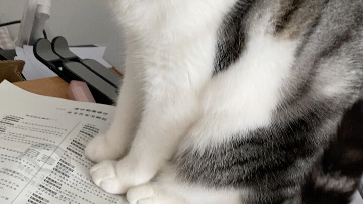 That “reverse petting” trick doesn’t work!