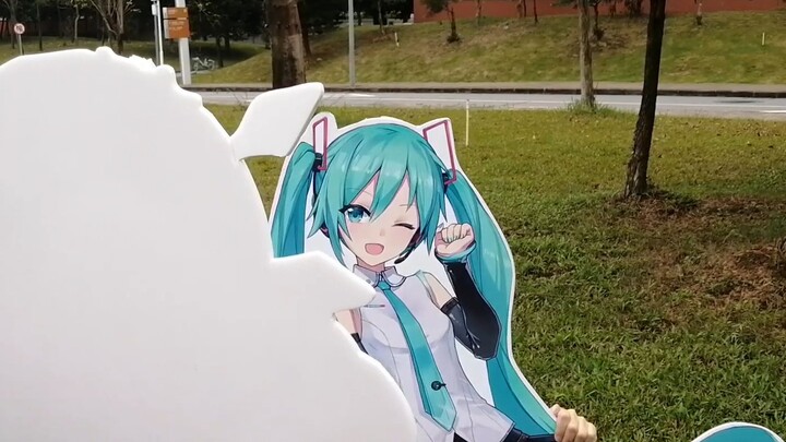 miku先輩！好きッス！