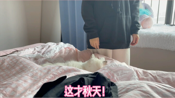 Back in the day, I used to roll up my pant legs even in winter, leaving my ankles exposed!